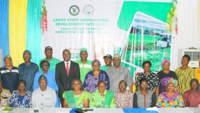 Lagos advocates smart farming to enhance food sustainability 1 FB IMG 1746044531323