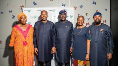 Lagos seeks investor support to establish International Financial Centre 12 IMG 20250401 WA0069