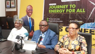 Lagos convenes Energy Summit to tackle problem of epileptic power supply 17 IMG 20250403 WA0044