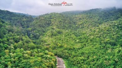 Ekiti State: Where nature, nobility and knowledge meet, by Dayo Adedayo 5 IMG 20250405 WA0040