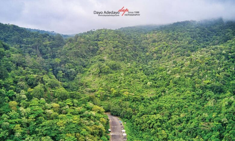 Ekiti State: Where nature, nobility and knowledge meet, by Dayo Adedayo 1 IMG 20250405 WA0040