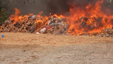 NDLEA destroys heaps of illicit drugs weighing 1.6m kilograms 10 IMG 20250412 WA0245