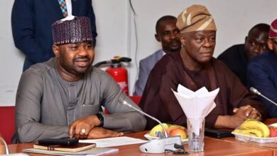 Why Naira-for-crude policy is best for the economy, by Arabinrin Aderonke 10 IMG 20250417 WA0007