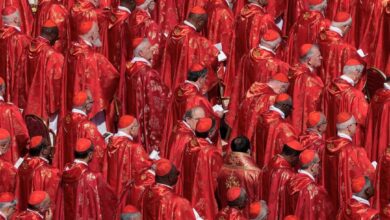 The next Pope: A script with an unexpected twist, by Victor Oladokun 2 IMG 20250430 WA0051