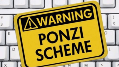 Money doublers and Lagos Mugus, by Wale Bakare 12 Ponzi scheme