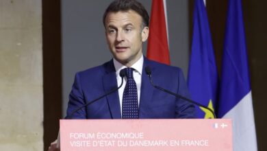 France to recognize the State of Palestine, says Macron 3 Screenshot 20250402 204742