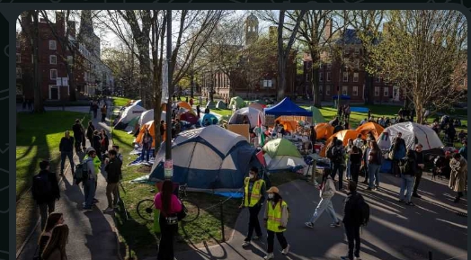 Trump administration announces freeze in $2.2 billion for Harvard after university rejects request for policy changes 1 Screenshot 20250415 081650
