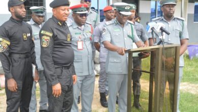 Customs disrupts smuggling route with Cannabis Sativa seizure worth N152m 8 aaaa