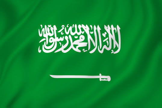 Nigeria among 13 countries affected by Saudi visa suspension 1 images 2025 04 07T103847.867