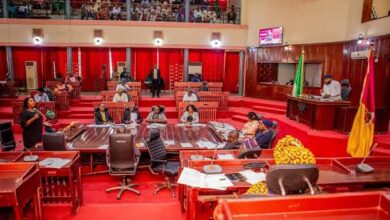 Oyo Assembly seeks special courts for speedy trial of violent crimes 6 images 2025 04 09T074040.741