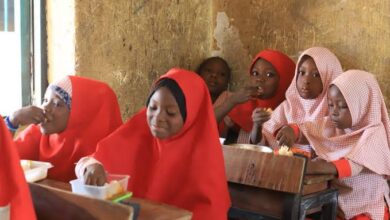 SPECIAL REPORT: How stoppage of Govt Feeding Program is worsening Yobe's Out-of-School crisis 10 images 2025 04 17T075833.450