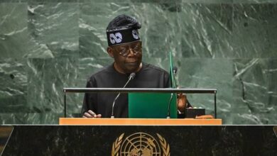 Tinubu to global leaders: Time for climate action is now 1 images 2025 04 23T193146.428