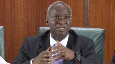 Fashola urges youths to focus on shared values, reject agents of division 5 images 294
