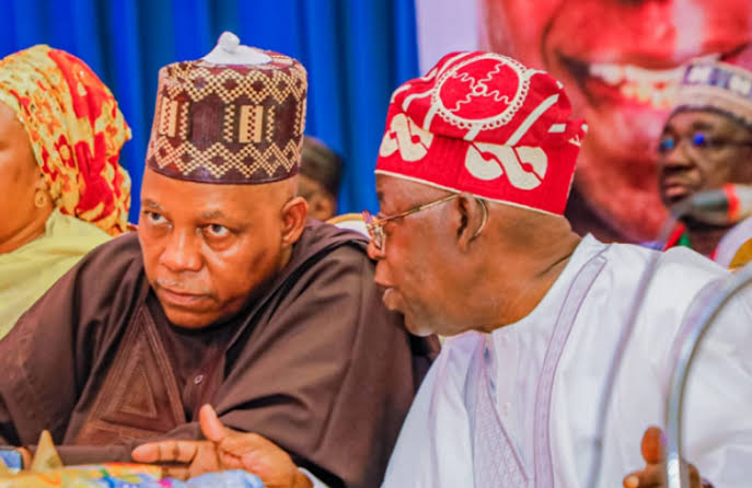 JUST IN: Presidency debunks claim VP Shettima was barred from Villa 1 images 40