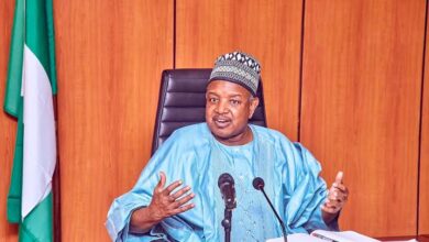 Nigeria’s 2026 budget : Priorities, gaps, and who really benefits — by Chioma Ahaghotu 10 images 63