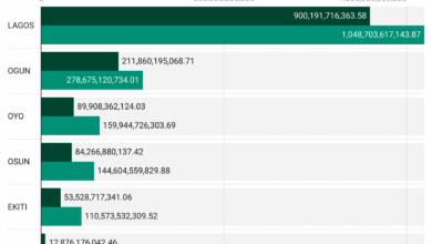 Lagos, 5 other South-West states contribute 34% to overall N3.97trn domestic debt in 2024 6 1Vy5o domestic debt nbsp span lang en us f span or span lang en us south west states in nigeria nbsp naira nbsp span