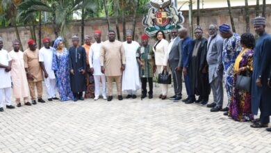 Increased revenue, debt reduction: States laud Tinubu’s economic reforms 3 Budget