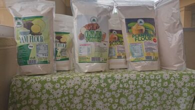 Oyo launches export-ready food products, inaugurates new ANCE Board 10 IMG 20250514 WA0017