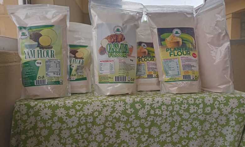 Oyo launches export-ready food products, inaugurates new ANCE Board 3 IMG 20250514 WA0017