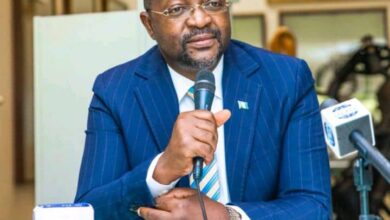 Dare hails NSC, Gov Abiodun for spectacular Gateway 2024 opening 8 IMG 20250519 WA0013