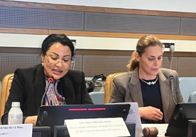 Nigeria calls for global financial reform at UN High-Level Meeting 1