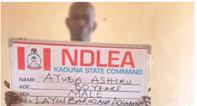 NDLEA Arrest