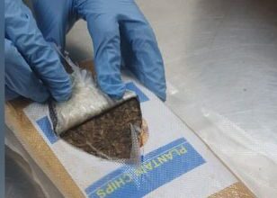 NDLEA intercepts drugs concealed in plantain chips at Lagos airport 4 NDLEA Skunk2