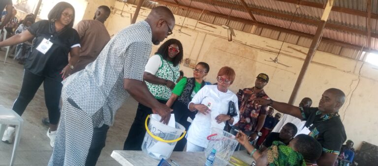 Voting at Amuwo Odofin LGA during the LP primary election on Friday in Lagos State 1