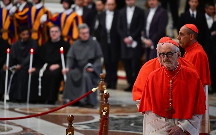 Papal conclave: Cardinals speak out on challenges new pope will face 1 cardinal czemy ap mf 250504 1746364674624 hpMain