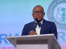 Compulsory voting bill violates civil liberties, democratic principles- NBA 1 download 5