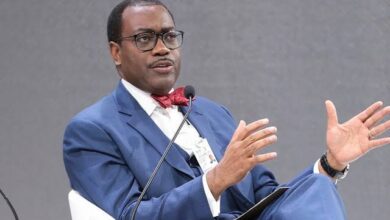Presidency slams AfDB President Adesina over 1960 GDP claim 5 images 2025 05 05T071903.713
