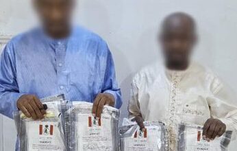 Drug suspects NDLEA 12