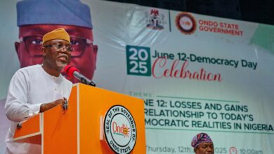 June 12: Nigeria on the right path, says Aiyedatiwa 8 FB IMG 1749747589069