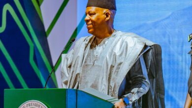 FG pledges to harness economic potential of Nigeria’s geo-heritage sites 10 IMG 20250616 WA0035