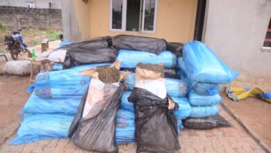 Ondo Police arrest two suspected drug traffickers, recover 51 bags of Indian hemp 7 IMG 20250619 WA0055