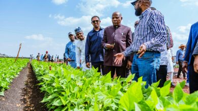 As Nigeria leads Africa's climate conversation, by Stanley Nkwocha 8 IMG 20250630 WA0027