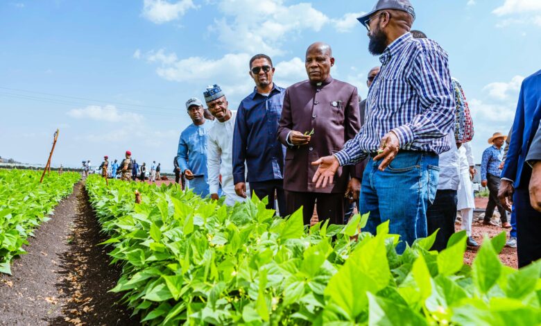 As Nigeria leads Africa's climate conversation, by Stanley Nkwocha 5 IMG 20250630 WA0027