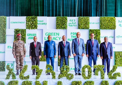 Climate crisis needs solutions, not conferences - Shettima 5