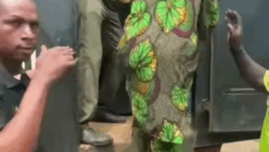 Lagos agency arrests man for converting residential building to illegal abattoir 7 Screenshot 20250624 085825