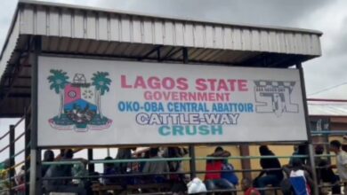 Lagos reopens Oko-Oba Abattoir after compliance with sanitation rules 15 Screenshot 20250628 114244
