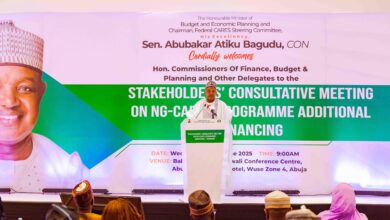 Tinubu committed to food security, revitalising MSMEs, says Bagudu 7 a