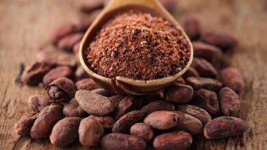 Ebinpawa: What about the cocoa boom of 2024?, by ‘Tope Fasua 2 images 2025 06 07T191255.806