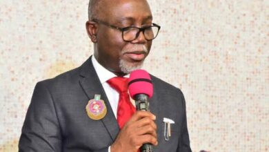 Aiyedatiwa appoints Microcredit Agency chairman, 374 other aides 9 images 2025 06 16T174402.437