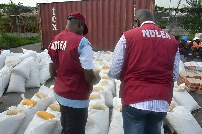 Tinubu calls for national action against drug abuse, applauds NDLEA efforts 1 images 2025 06 26T170014.411