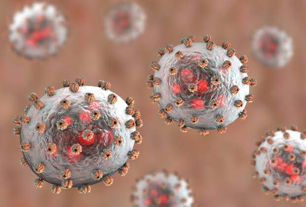 Ondo moves to combat spread of Lassa fever 1 images 37