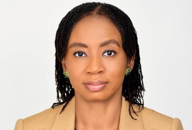 PFAs exposure in bond, stock market increase to N17.22trn, says PenCom 1 images 3 1