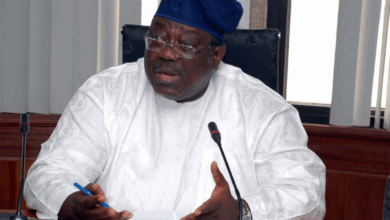 Artificial Intelligence and Sustainability: Reforming the reforms of education in Nigeria – By Tunji Olaopa 8 tunji olaopa