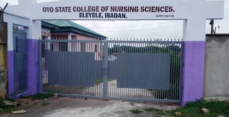 Oyo government appoints 116 new staff at State College of Nursing 1 IMG 20250710 WA0027