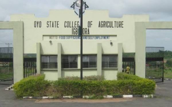 OYSCATECH staff suspend strike after government intervention 1 IMG 20250710 WA0052 1
