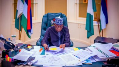Between Reform and Reality – A measured appraisal of Tinubu’s first two years, by Adebamiwa Olugbenga 3 IMG 20250715 WA0018